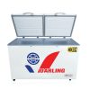 TỦ ĐÔNG MÁT 250L DMF-3197WX